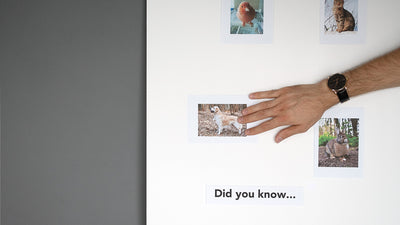 Make an Interactive Poster Using Touchless Sensing